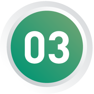 03